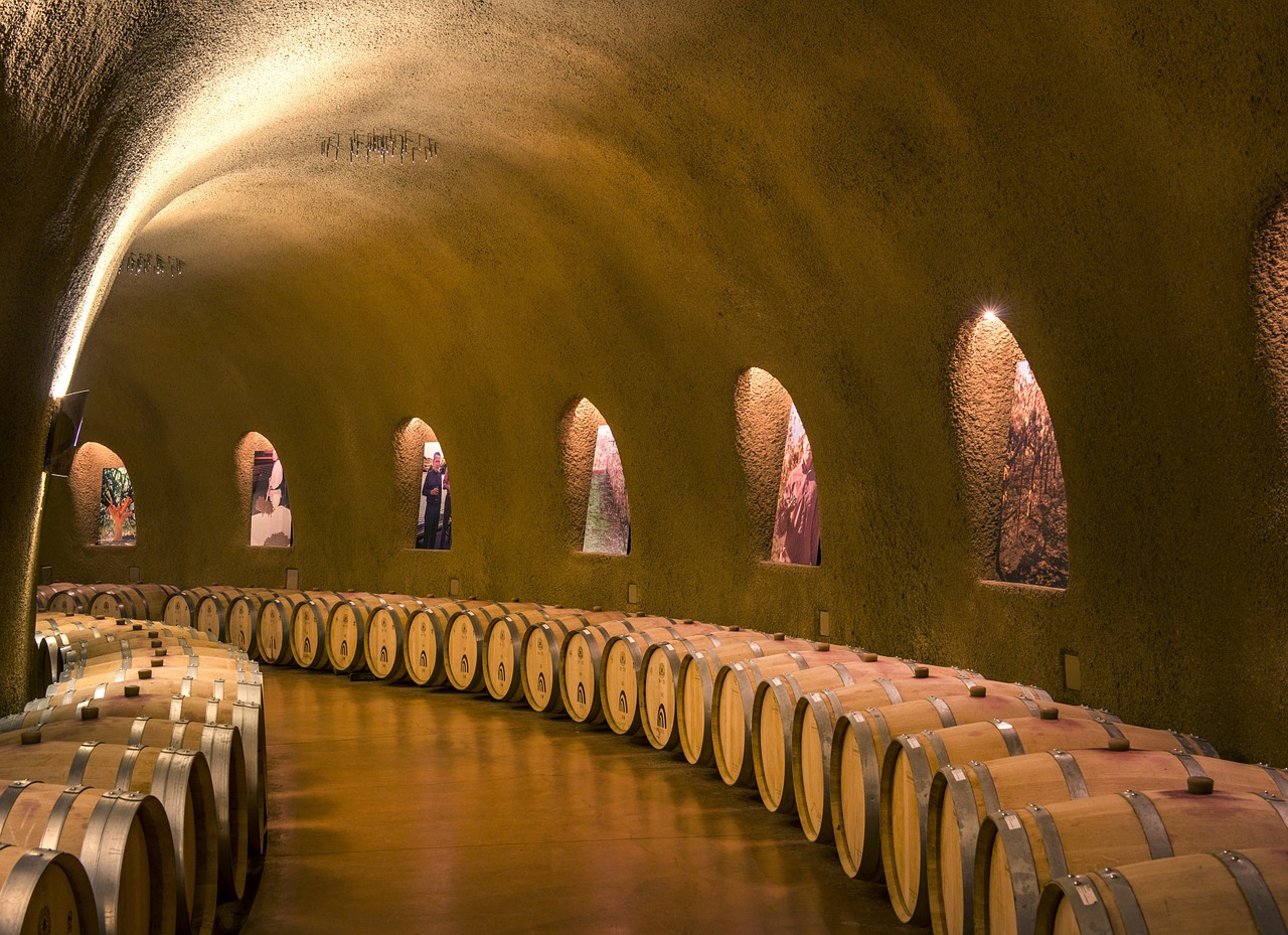 wine cellars caves tunnel free photo