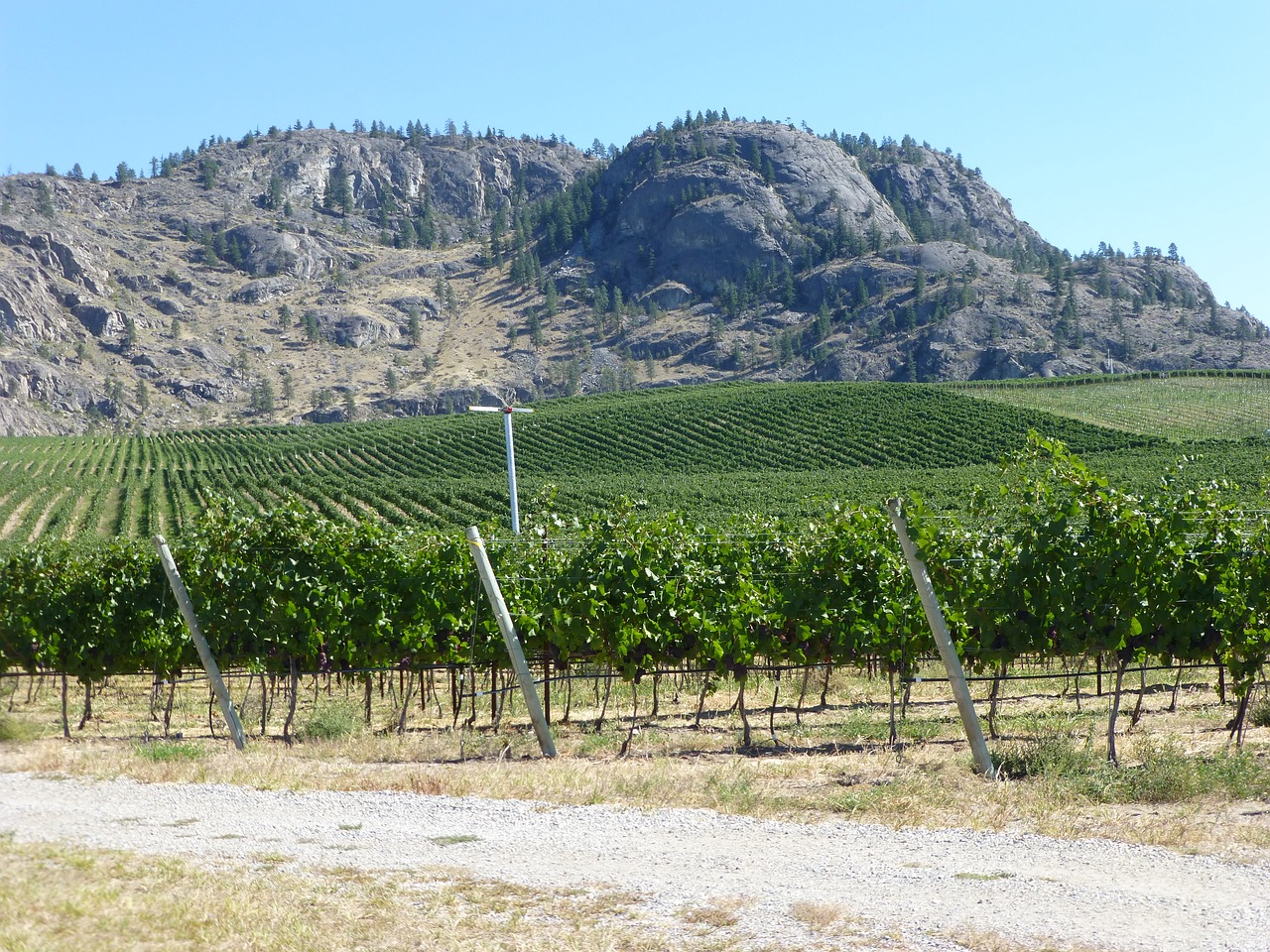 wine country bc canada wine country okanagan valley free photo