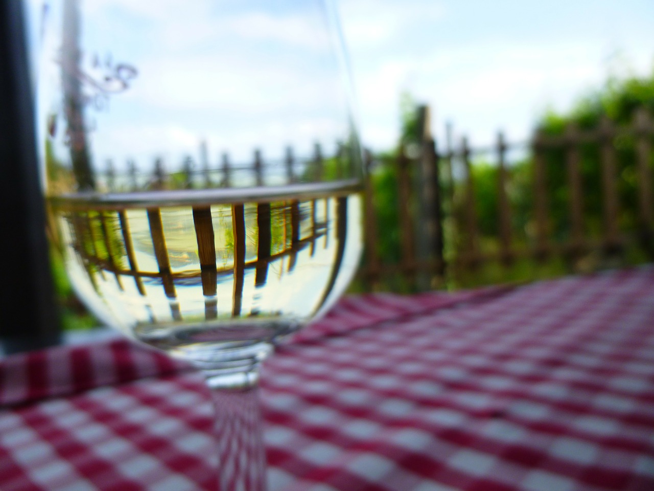 wine glass badacsony lake balaton free photo
