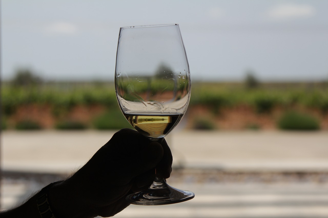 wine glass  white wine  wine glasses free photo