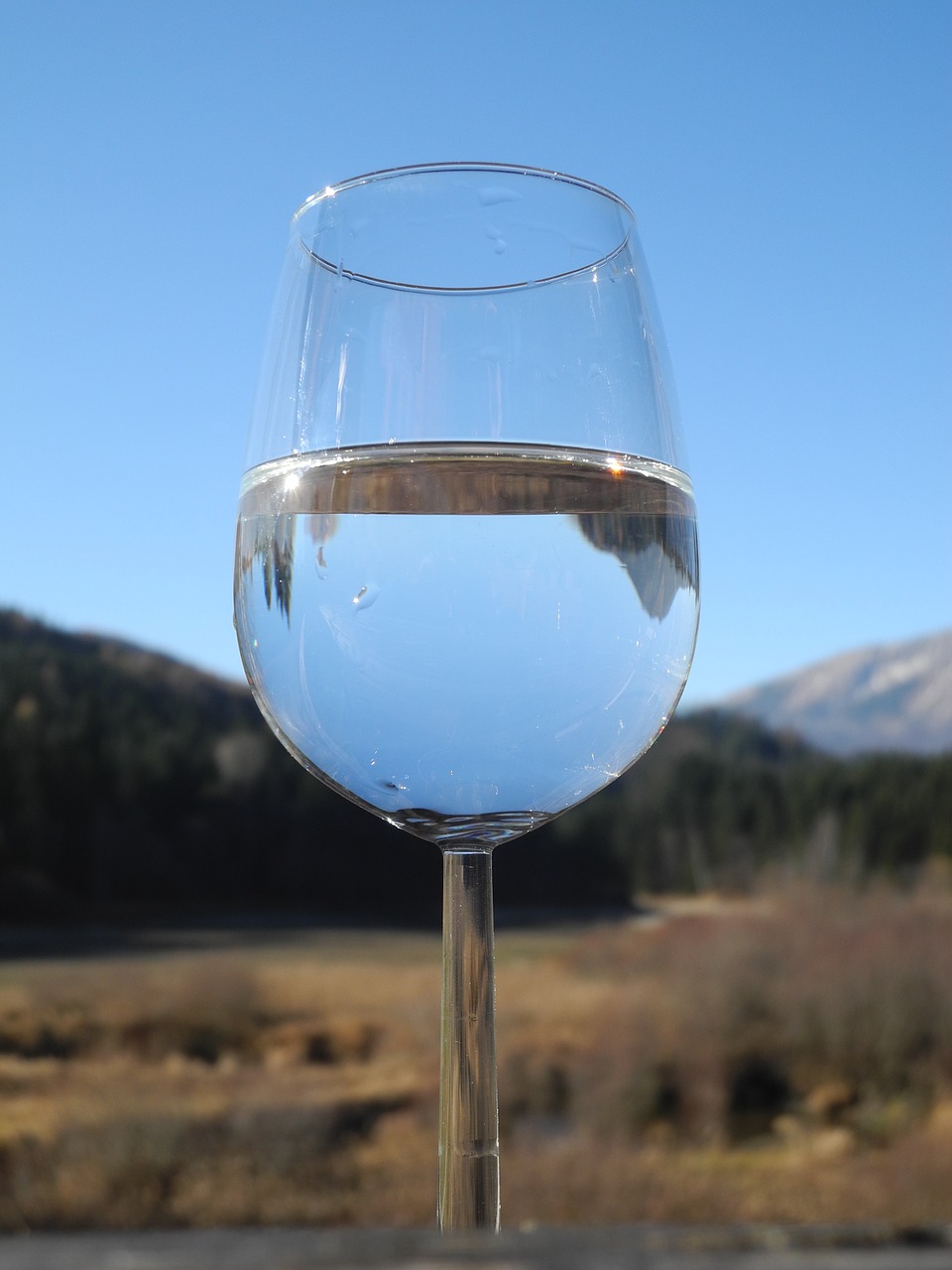 wine glass water clear free photo