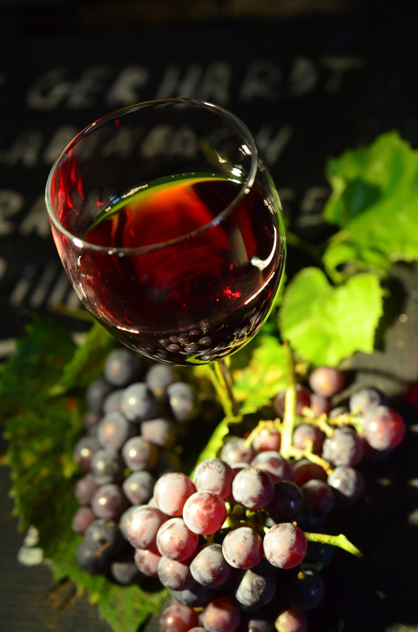 wine glass grapes red wine free photo