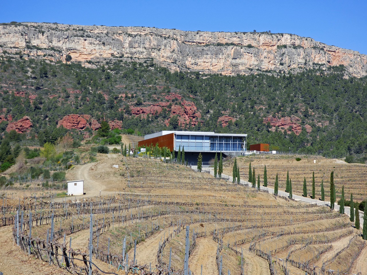 winery vineyards priorat free photo