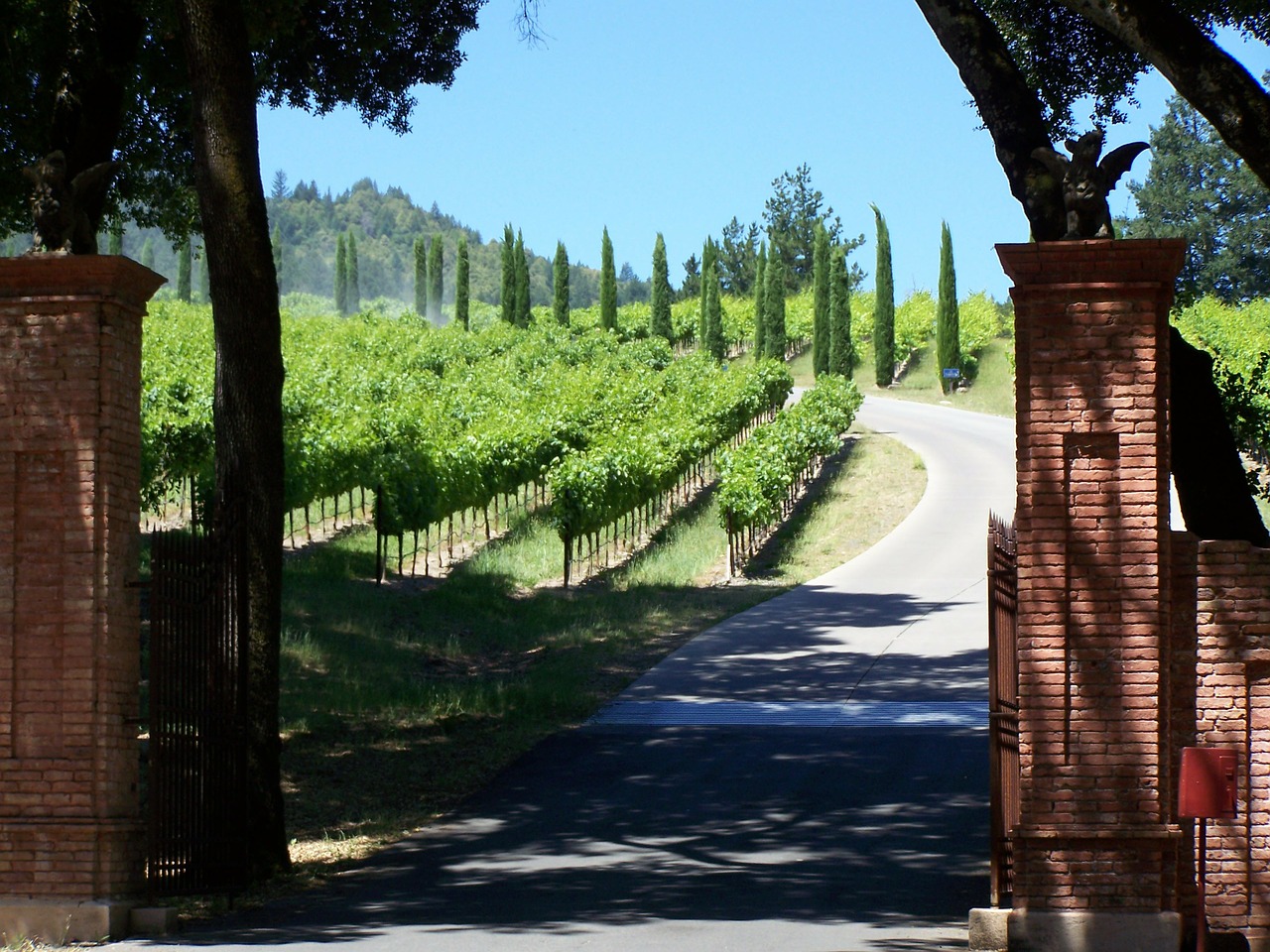 winery napa valley california free photo