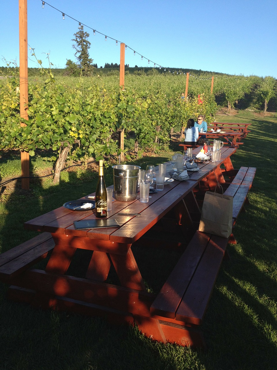 winery summer dine free photo