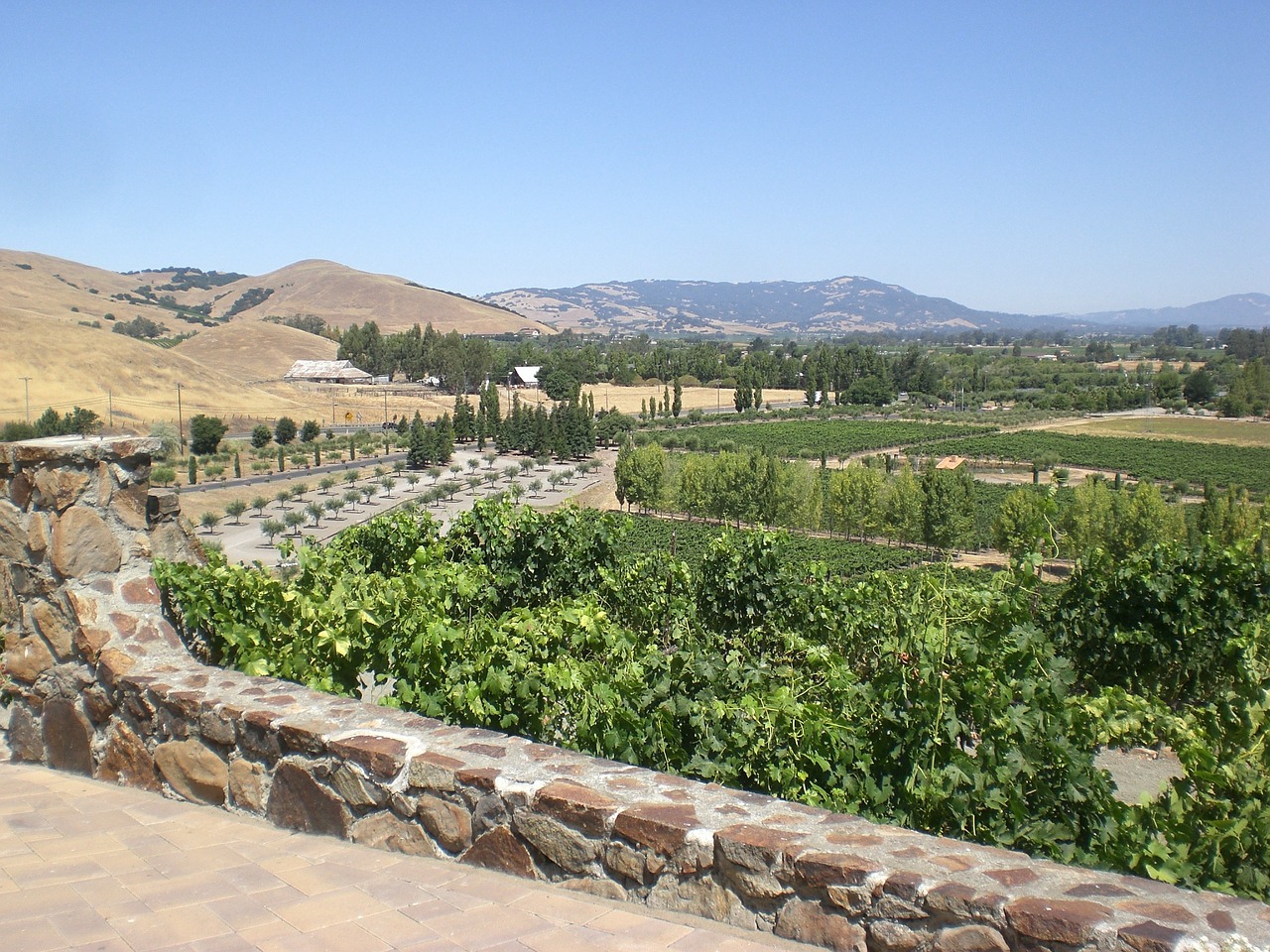 winery sonoma california free photo