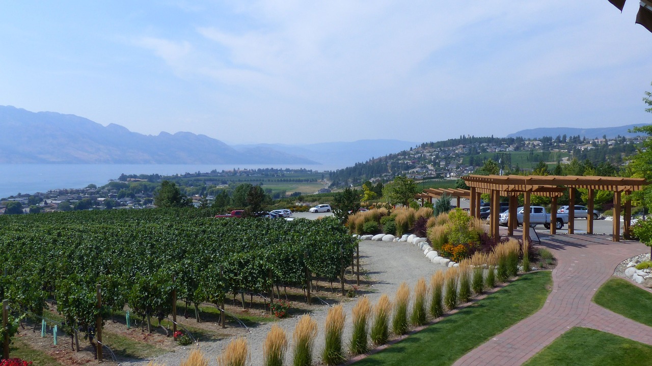 winery in bc view to the lake the path to nowhere free photo