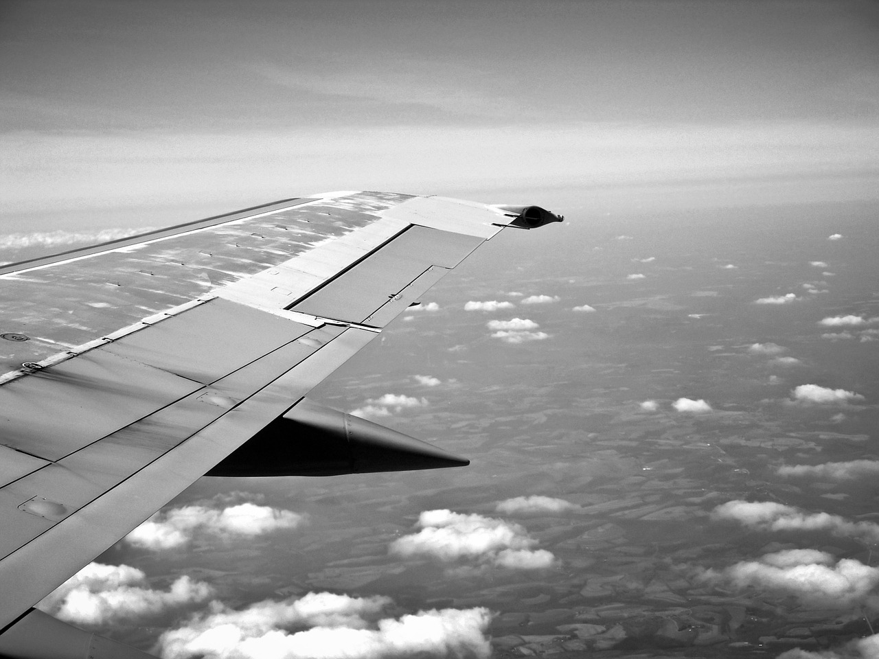 wing flying airplane free photo
