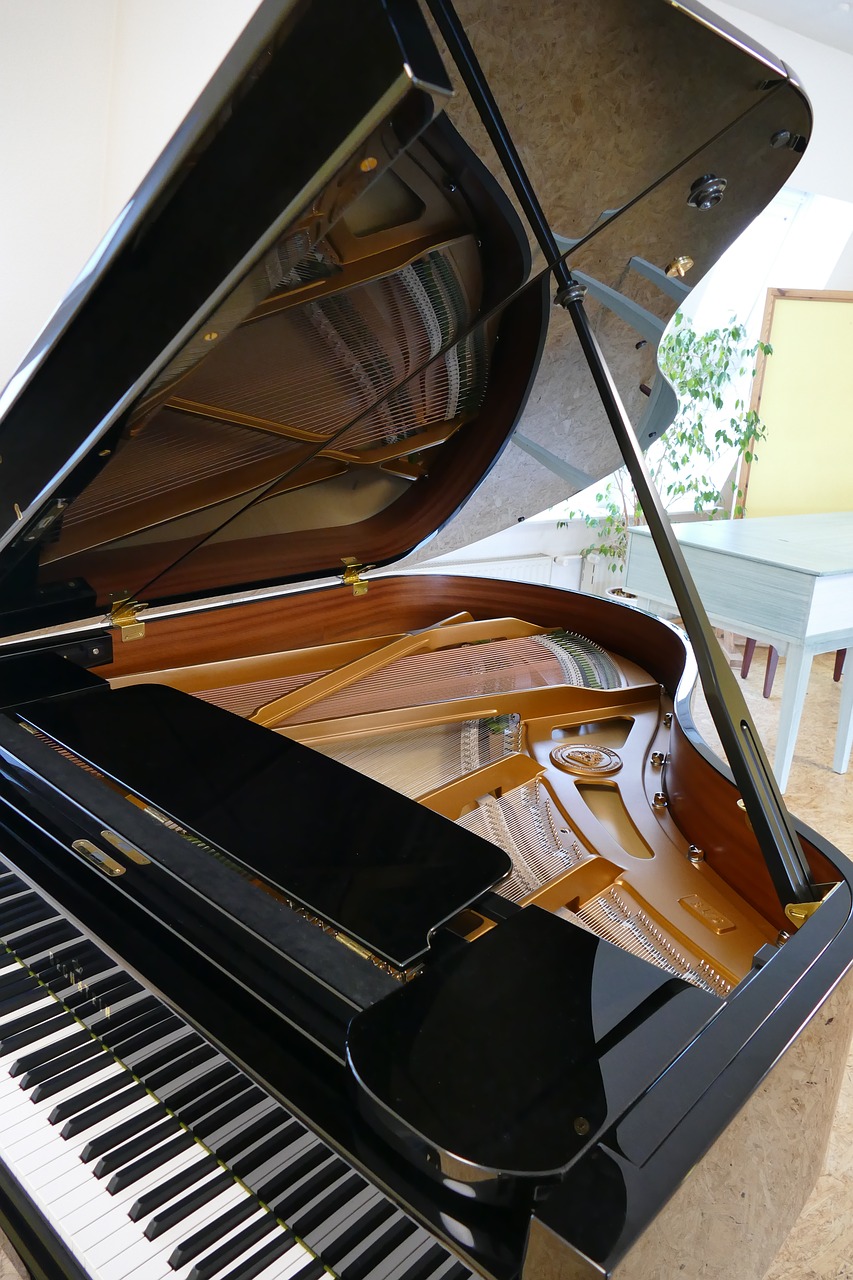 wing piano bechstein free photo