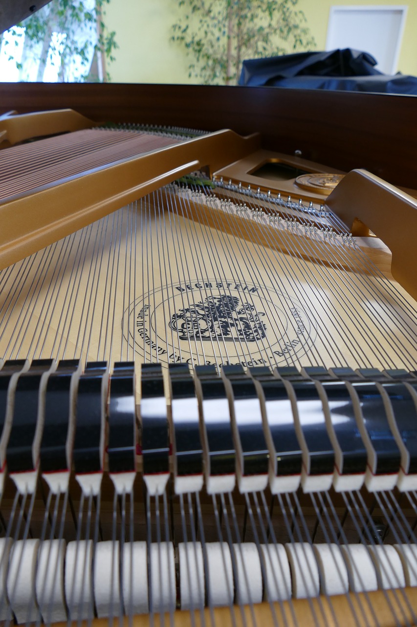 wing piano bechstein free photo