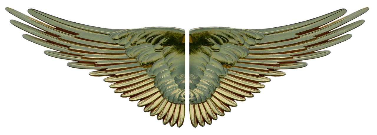 wing gilded gold free photo