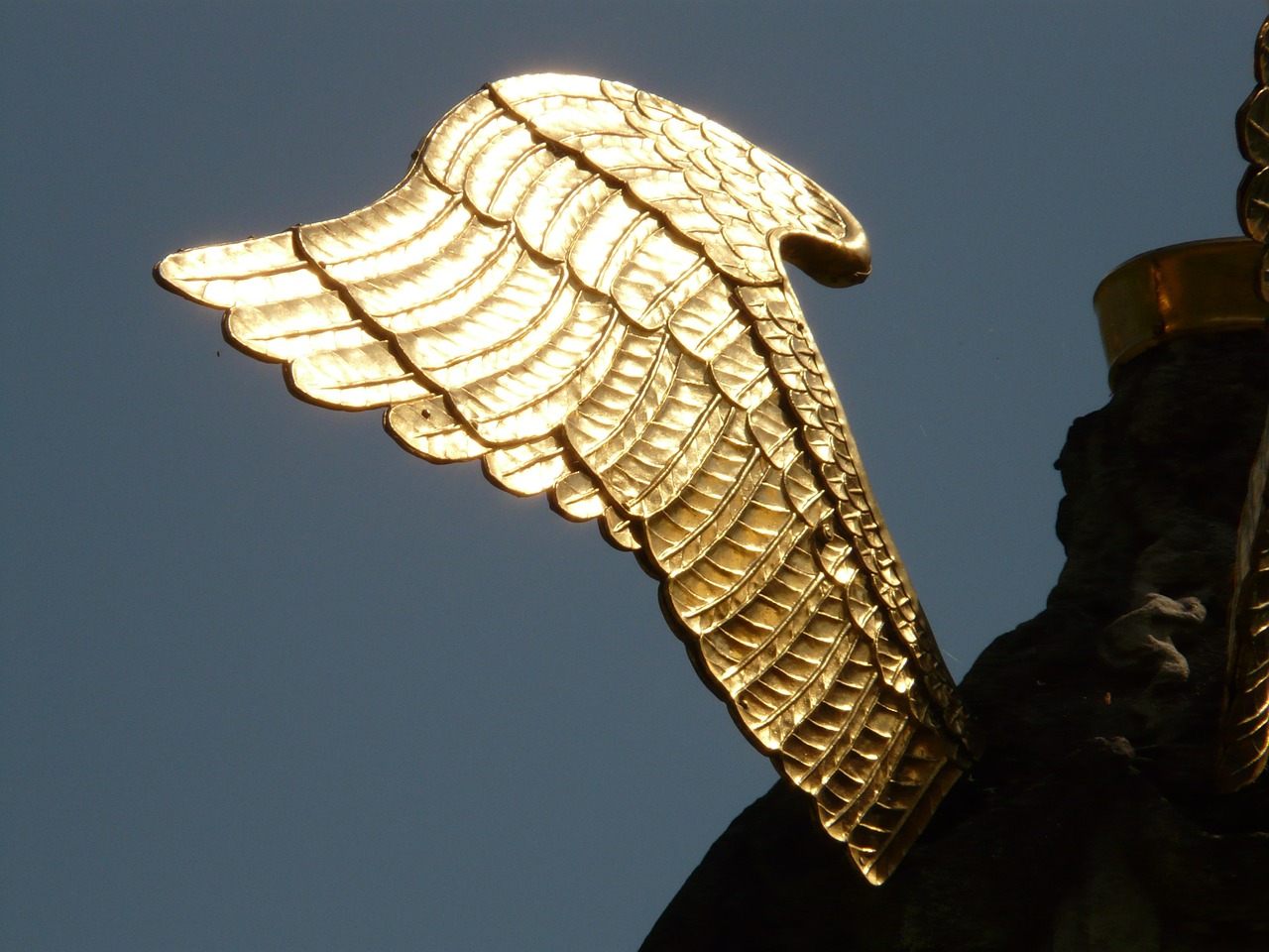 wing angel gold free photo