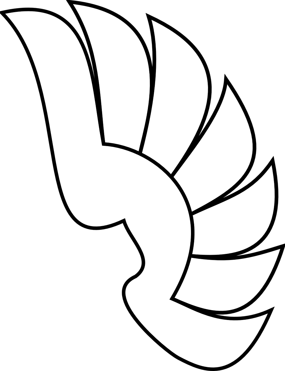 wing heraldry symbol free photo