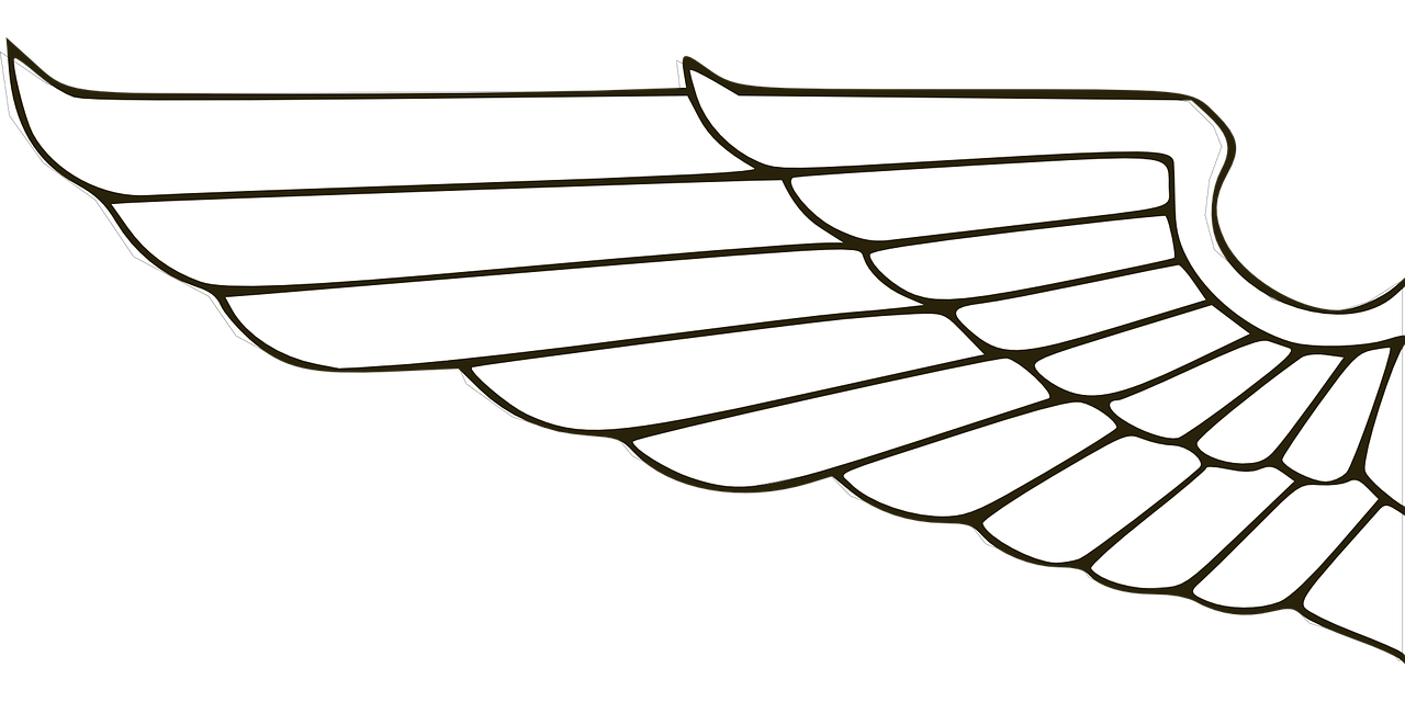 wing heraldry symbol free photo