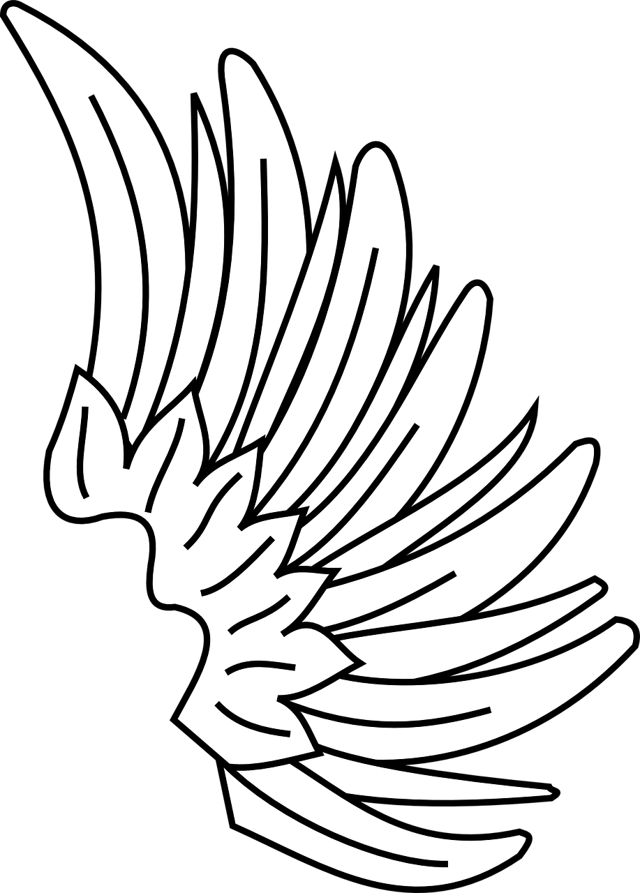 wing heraldry symbol free photo