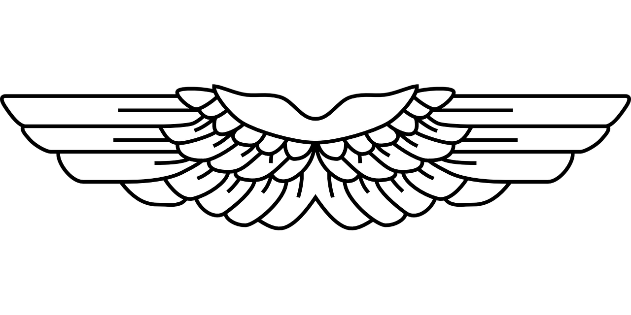 wing heraldry symbol free photo