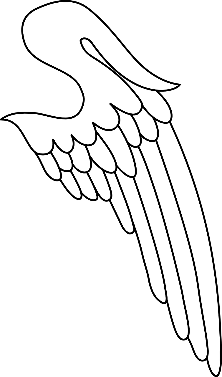 wing heraldry symbol free photo