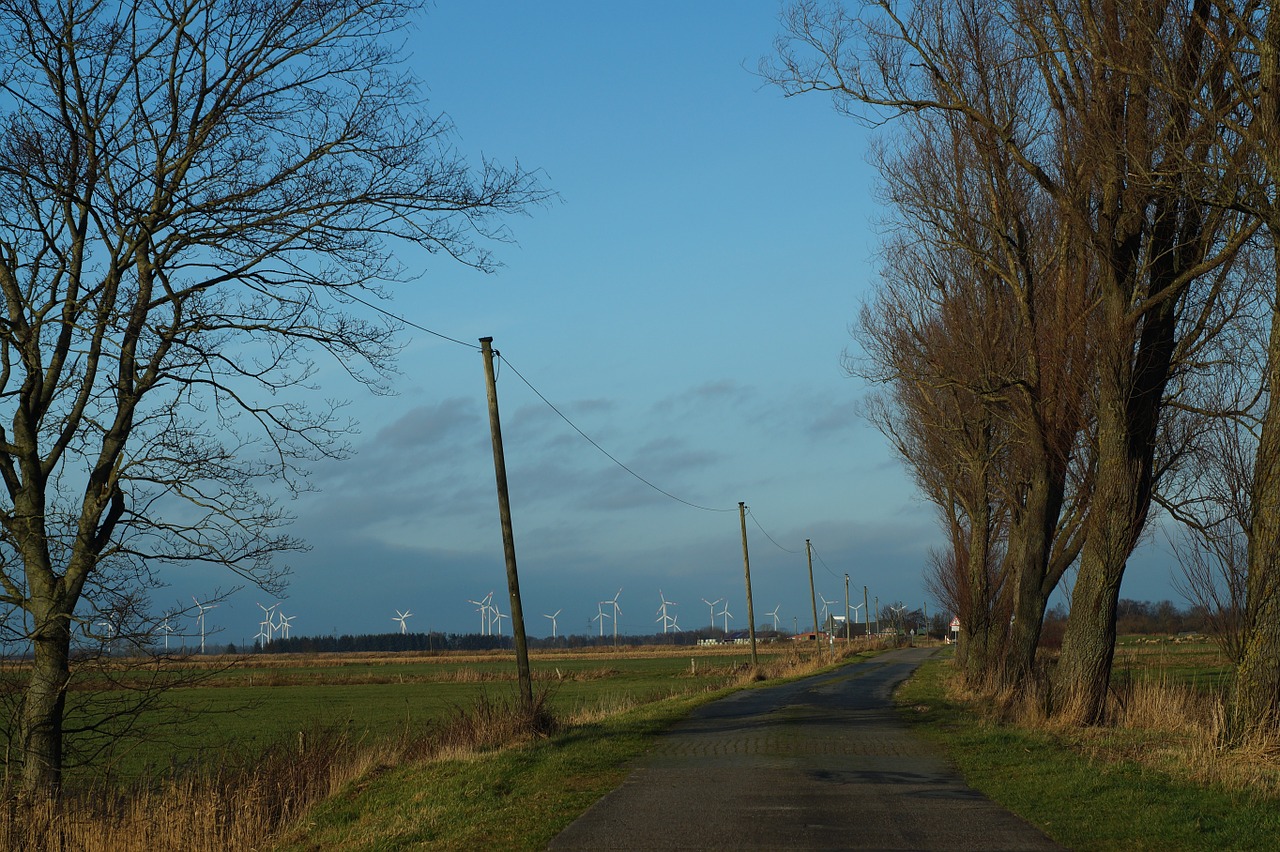 winpark away trees free photo