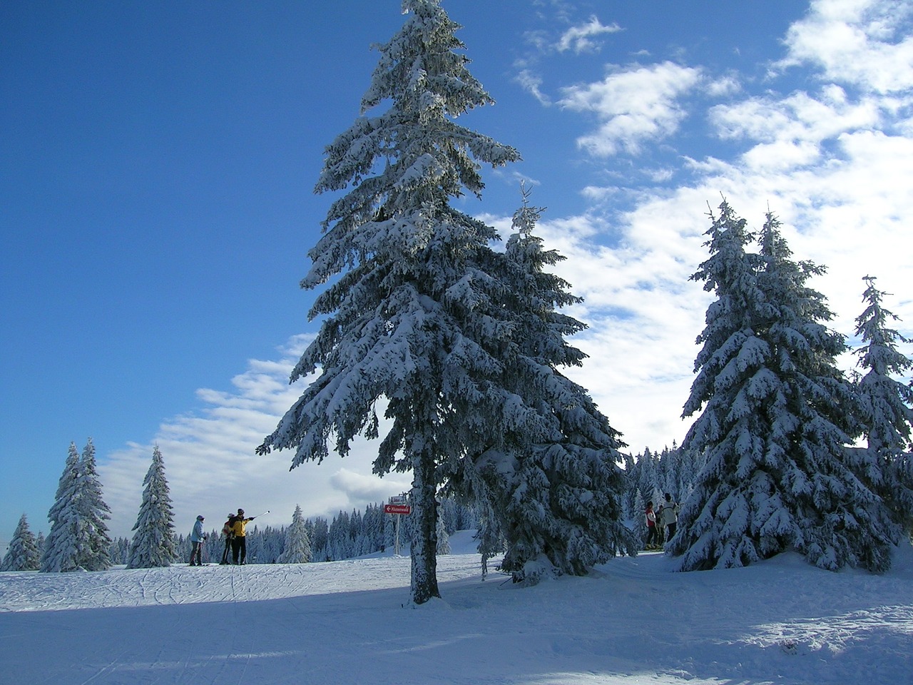 winter snow feldberg free photo