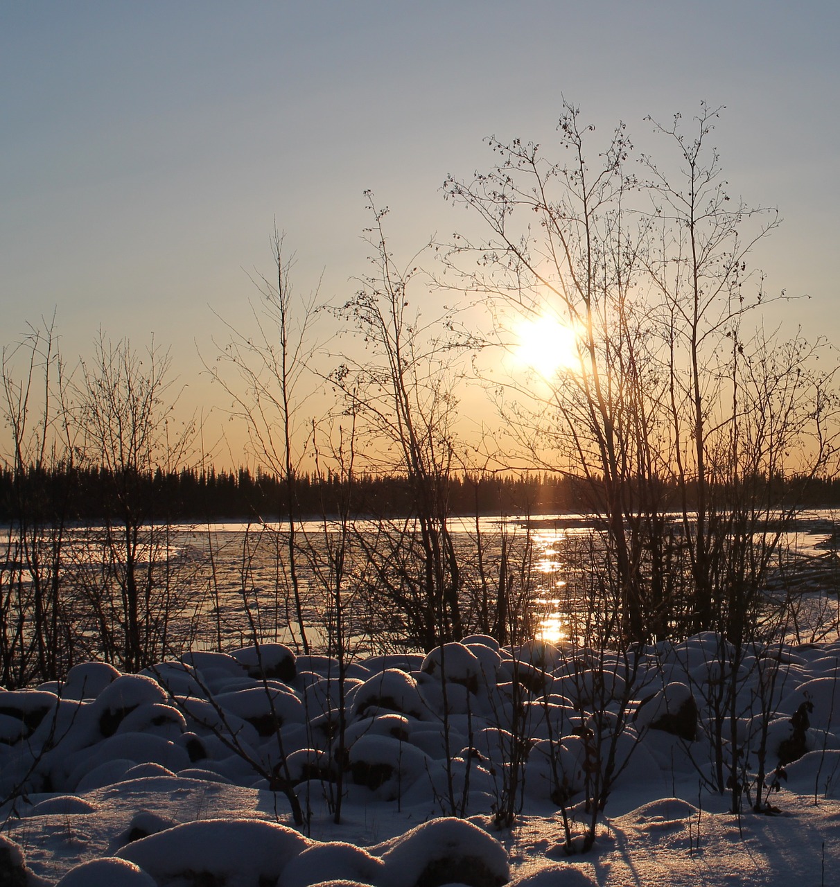 winter fairbanks tanana river free photo