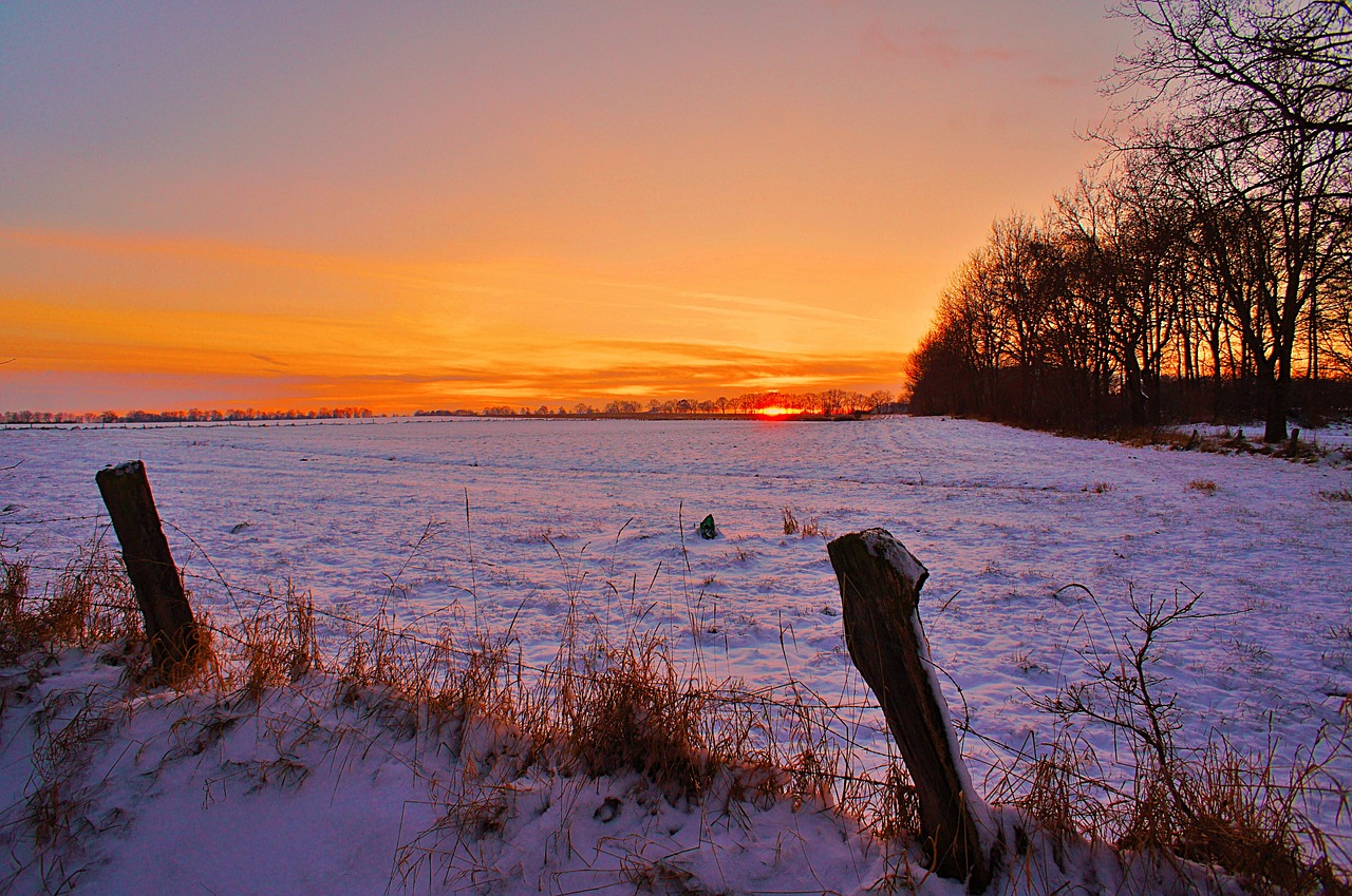 winter snow wintry free photo