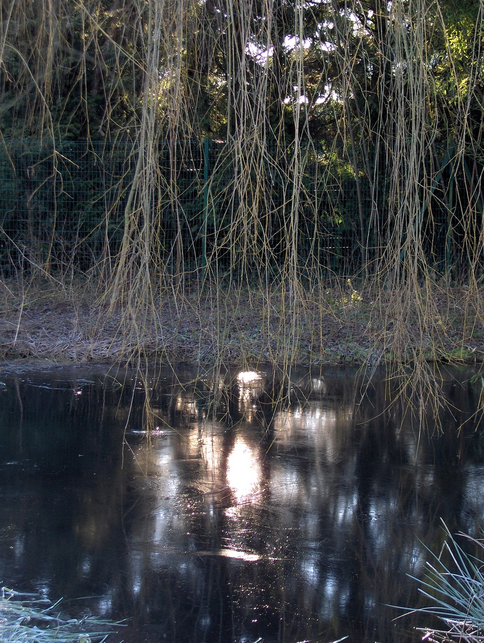 winter light reflections mare free photo