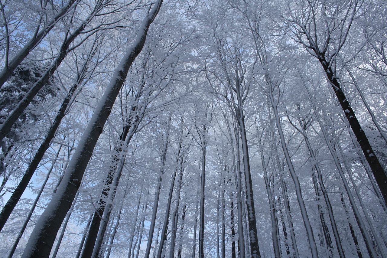 winter pustevny beskydy free photo