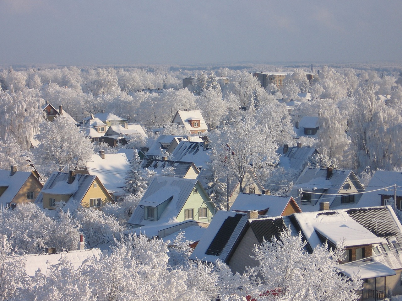 winter snow cold free photo