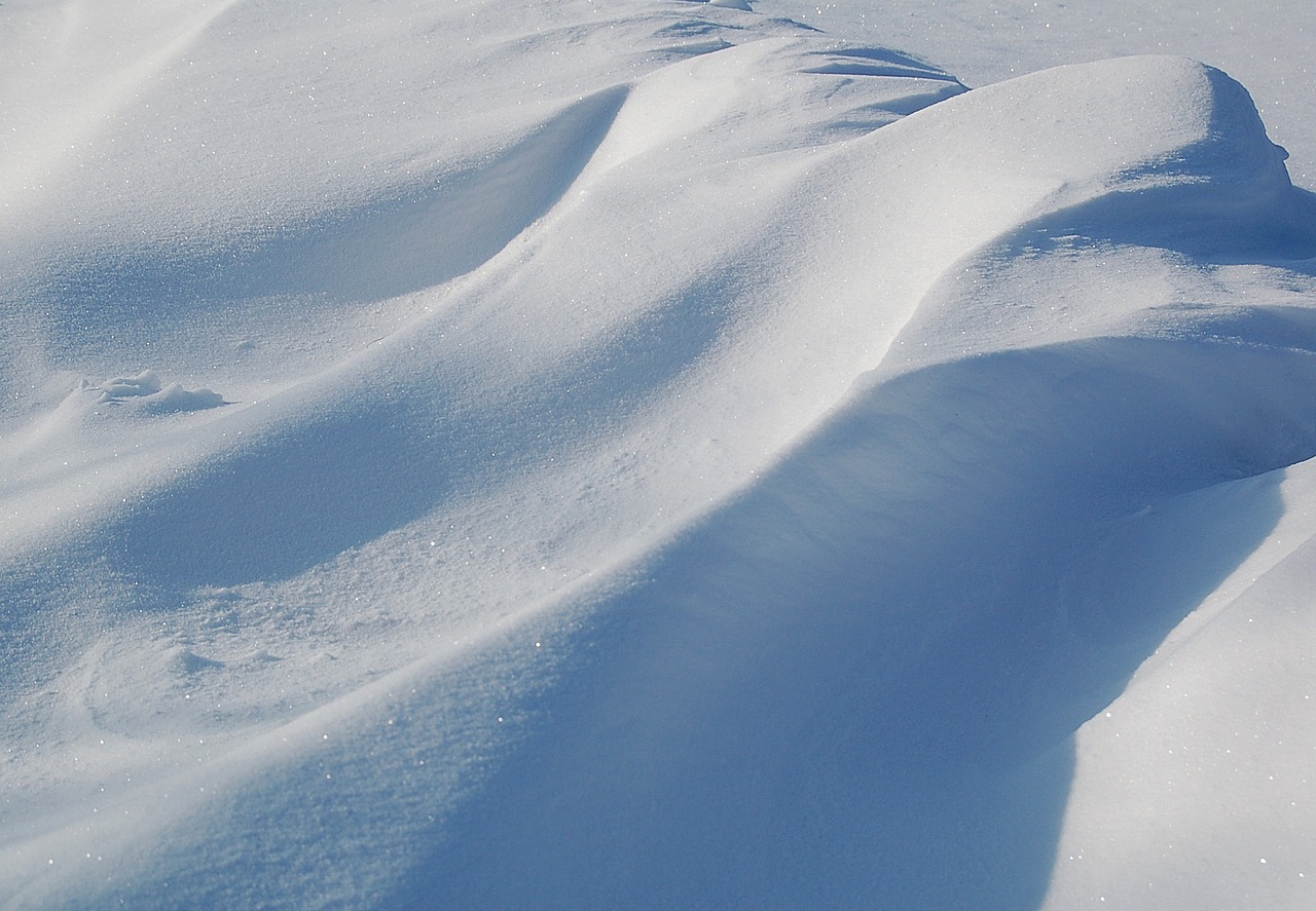 winter the background snow free photo