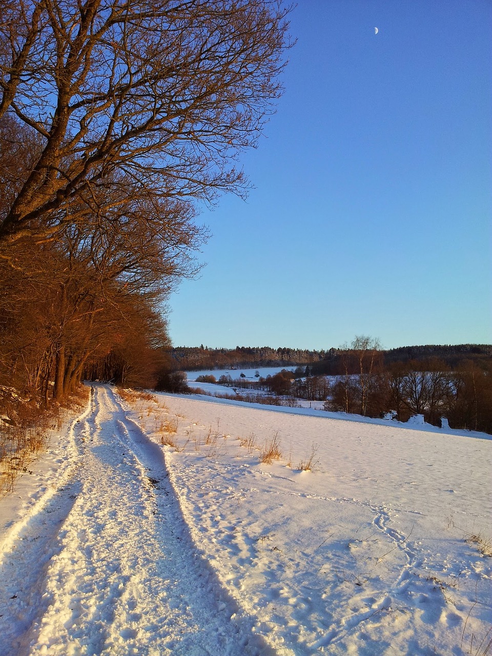 winter snow westerwald free photo