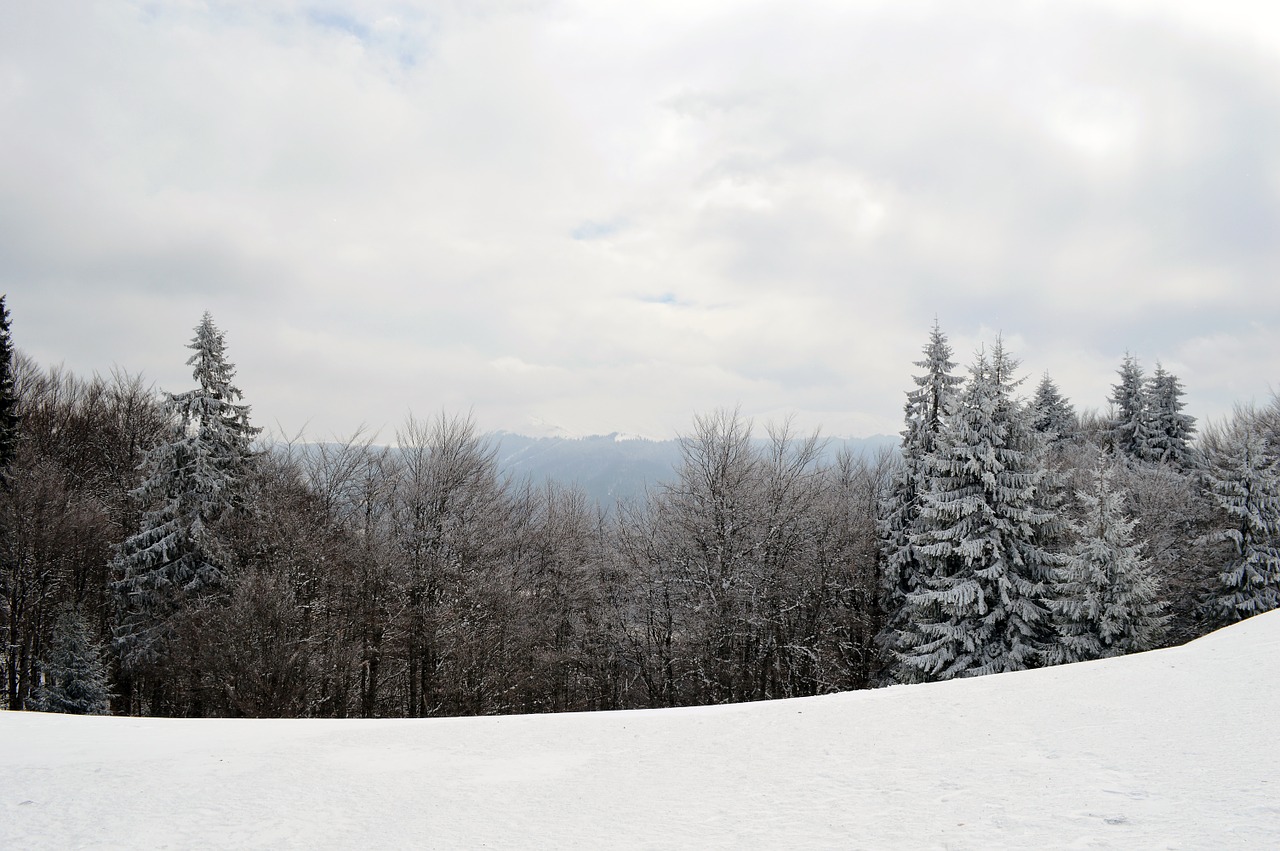 winter scene mountain free photo