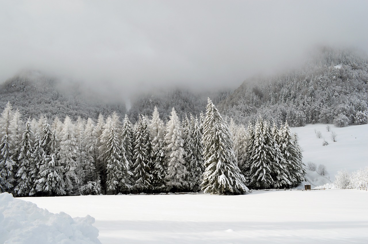 winter scene mountain free photo
