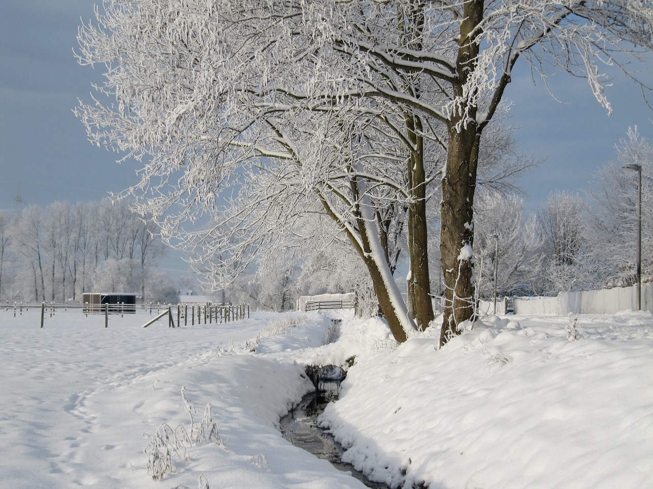 winter bach wintry free photo