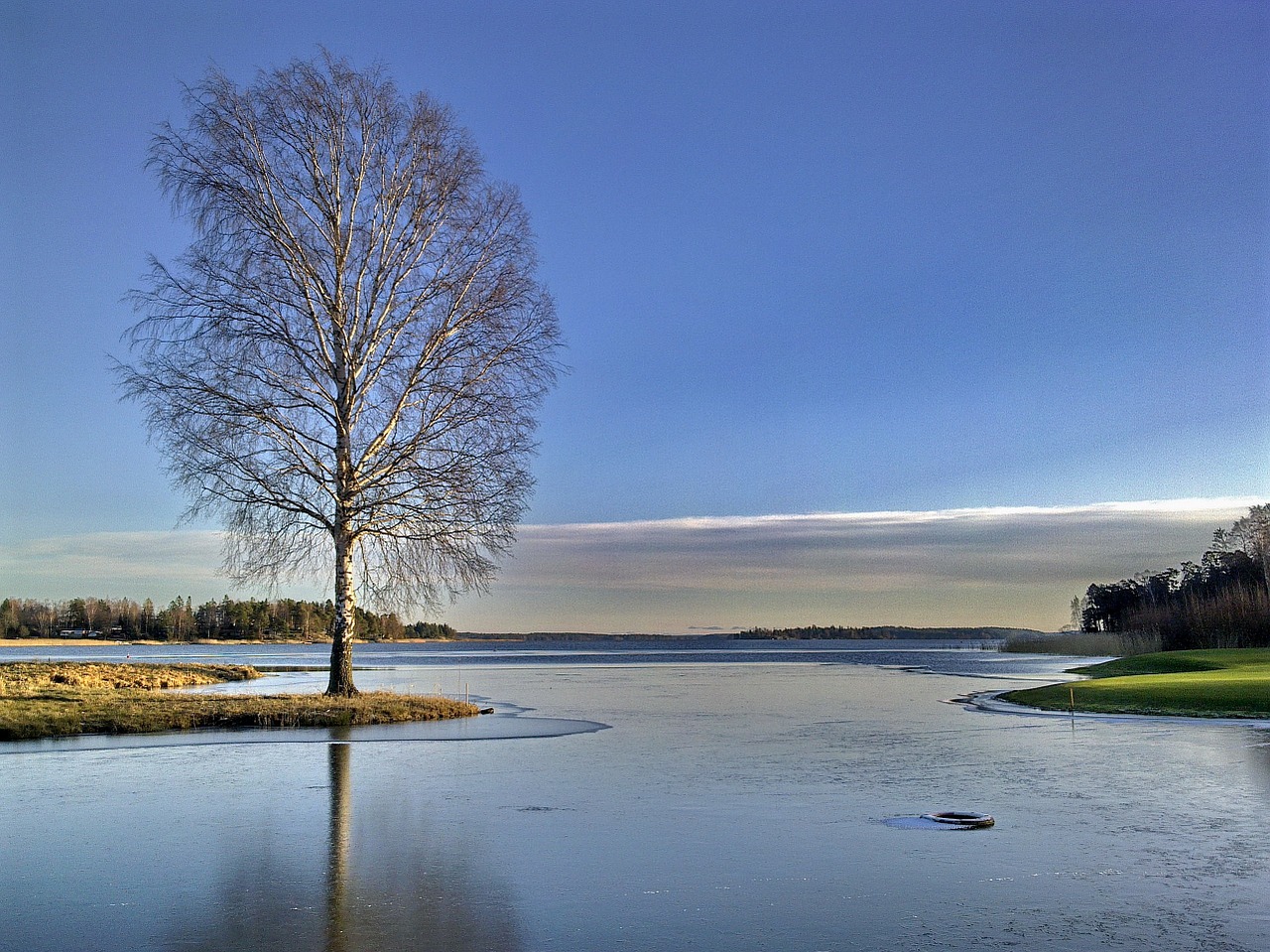 winter lake tree free photo