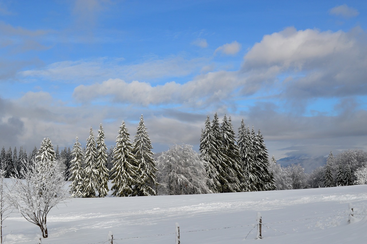 winter scene mountain free photo