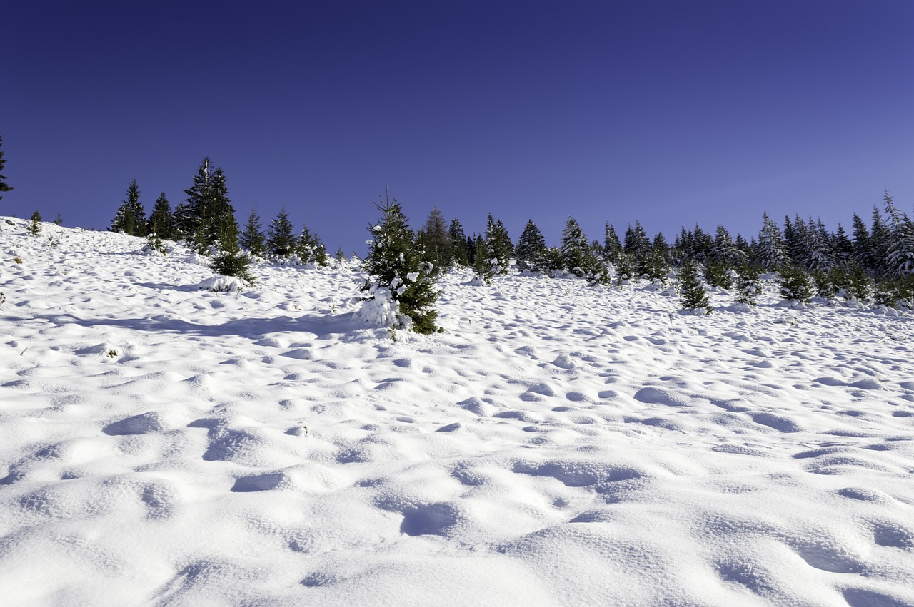 winter scene mountain free photo