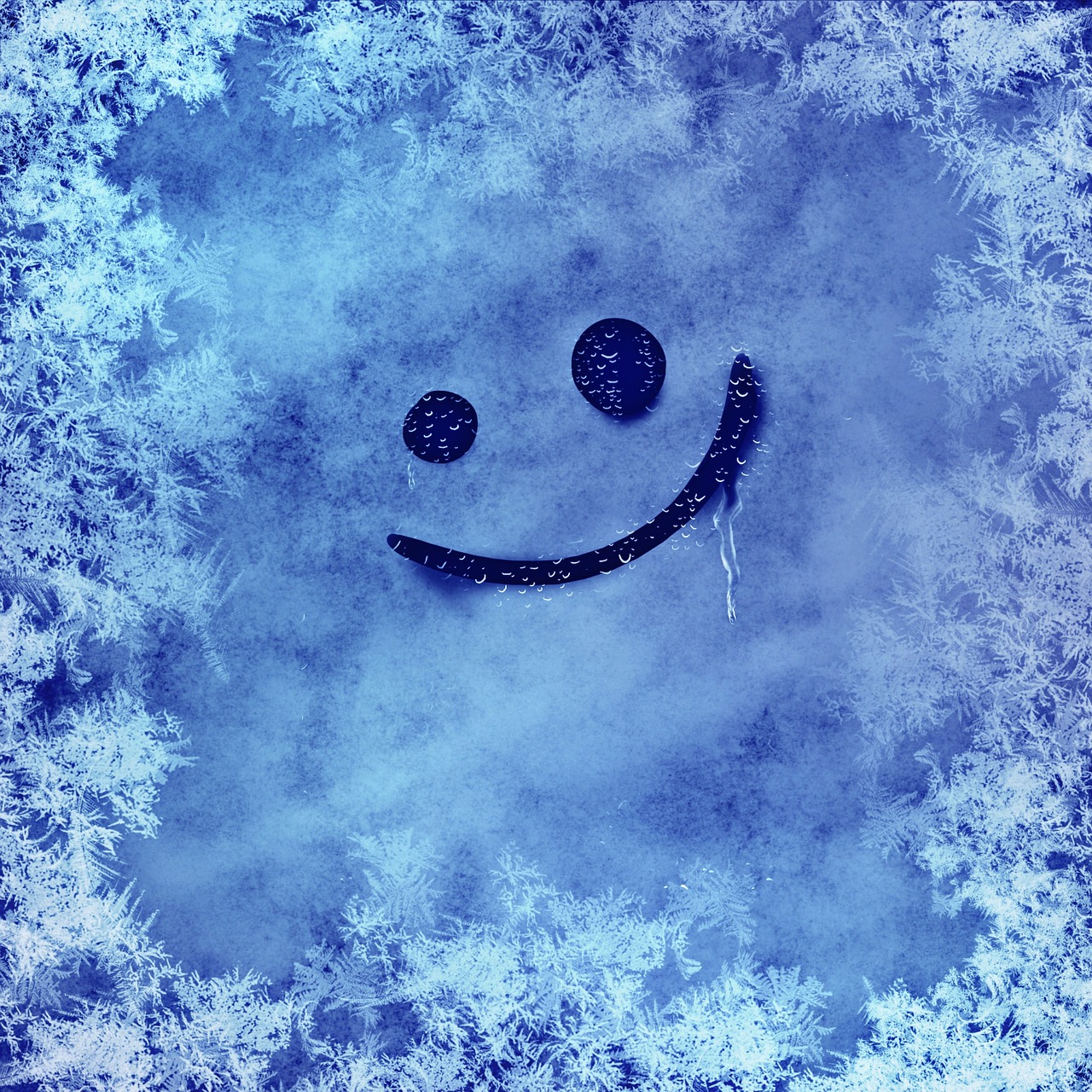 winter hardest smiley free photo