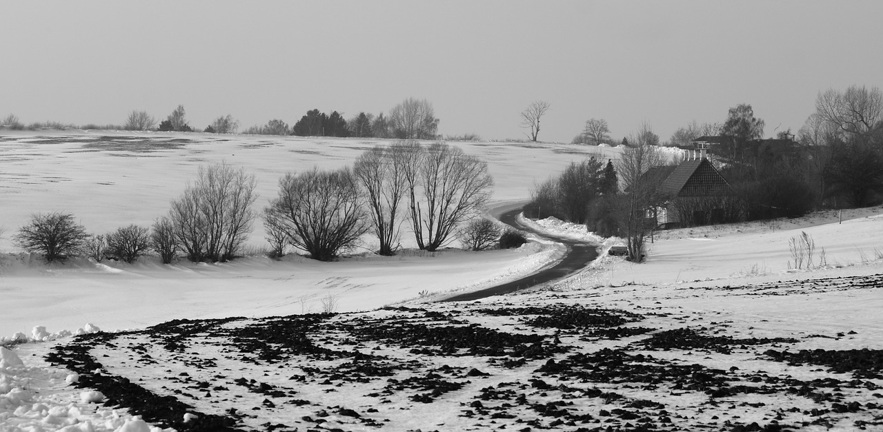 winter snow natural free photo