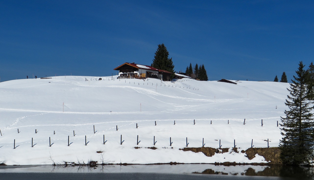 winter snow wintry free photo