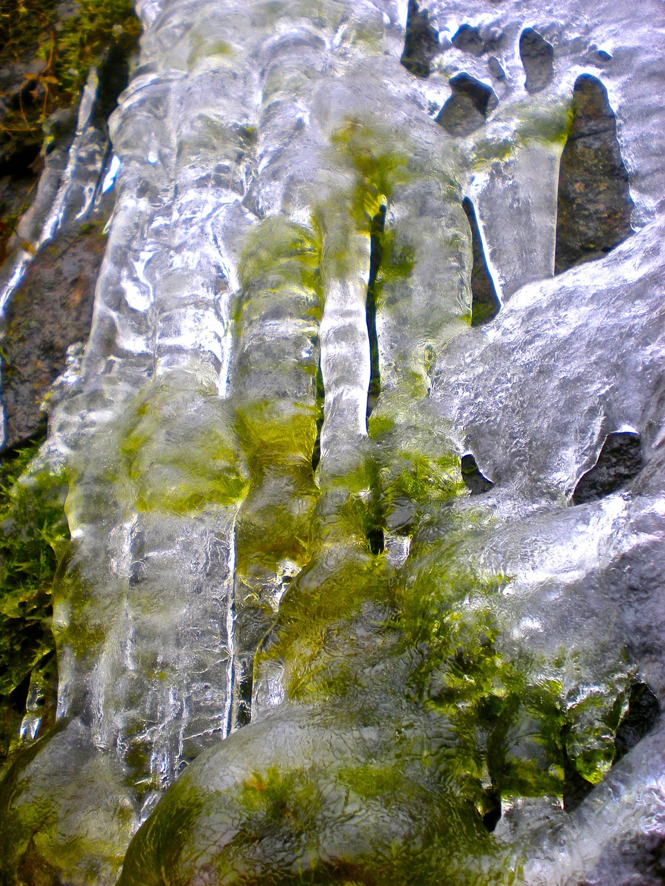 winter ice-art ice sculpture free photo