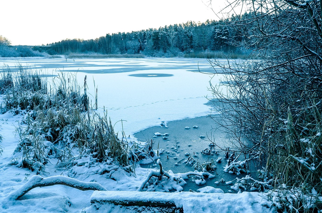 winter snow horizon free photo