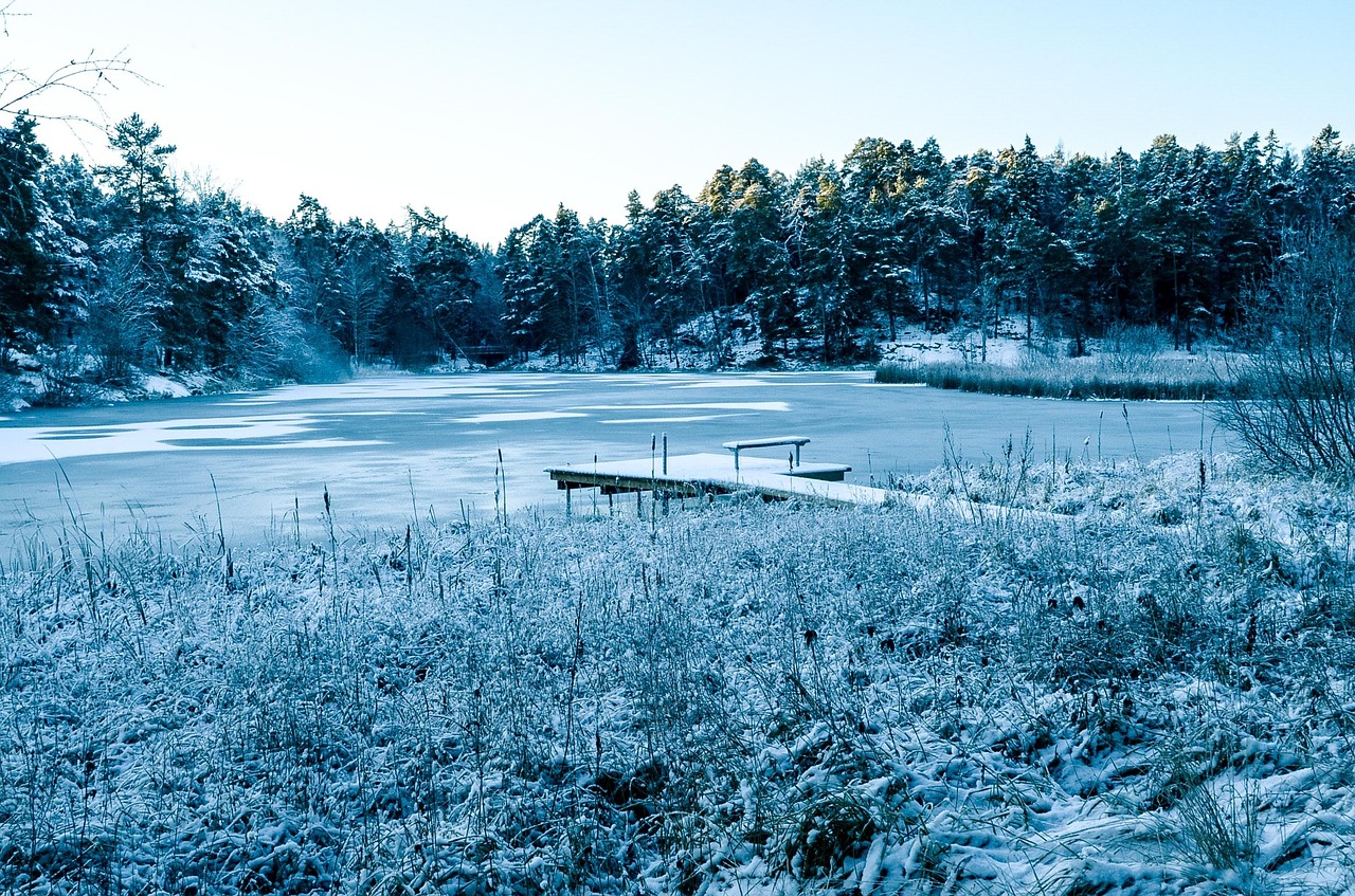 winter snow horizon free photo