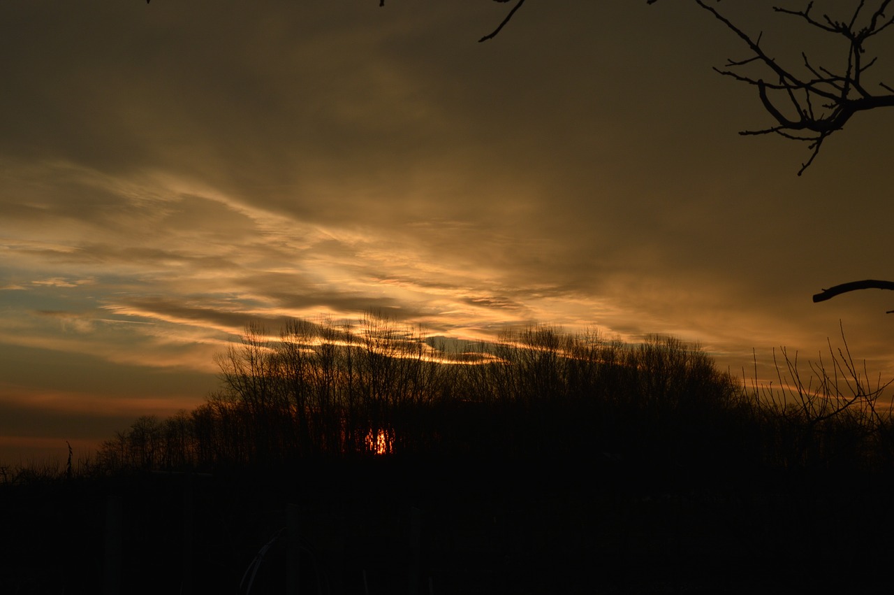 winter in the morning mount uniacke free photo