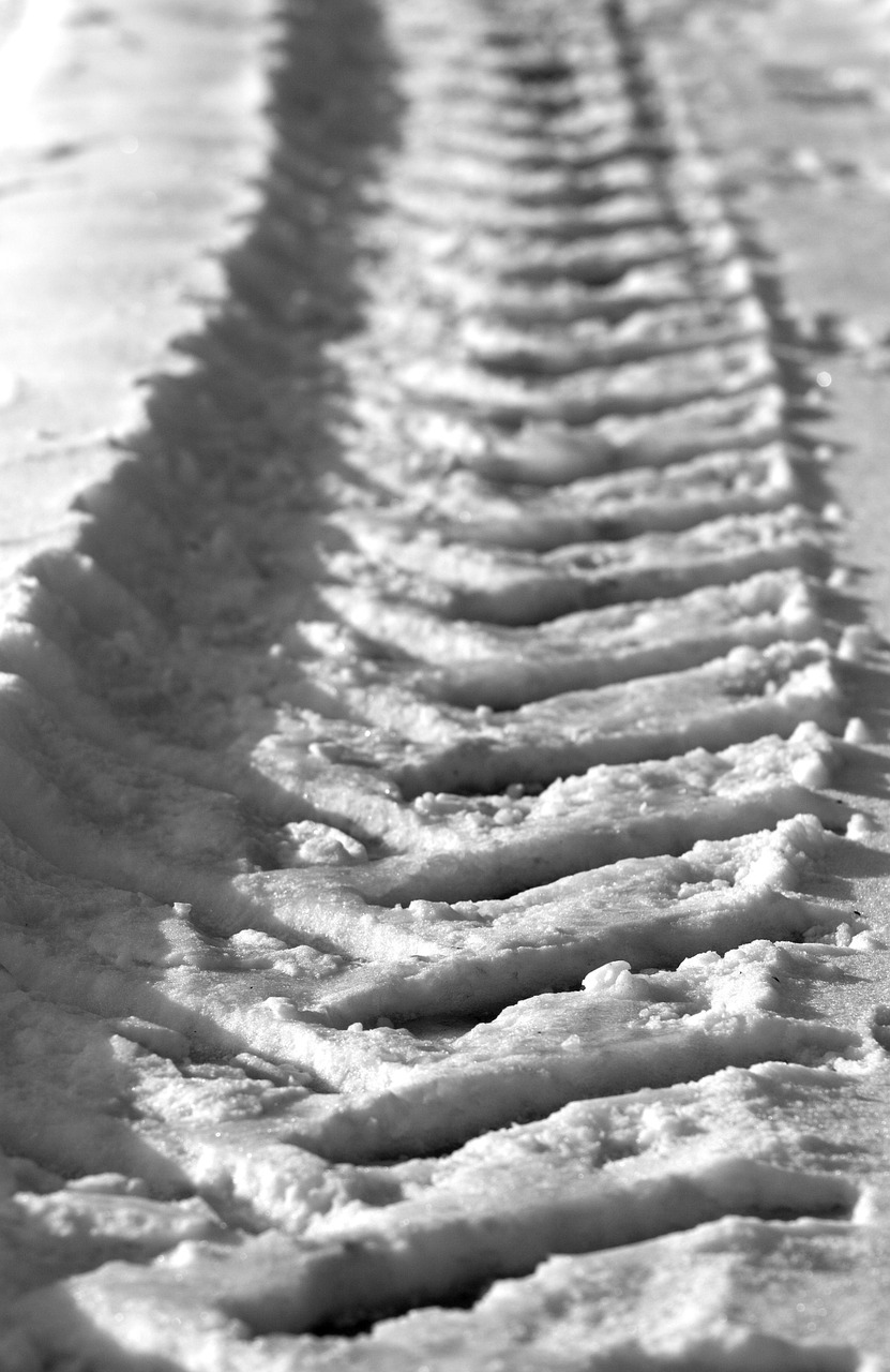 winter snow track free photo