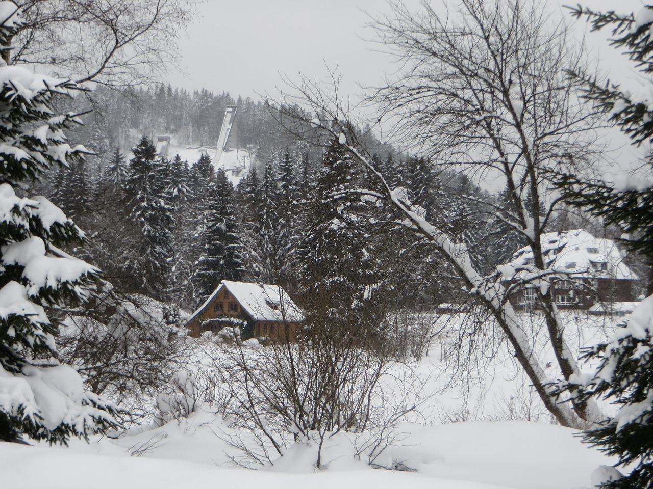 winter snow snow landscape free photo