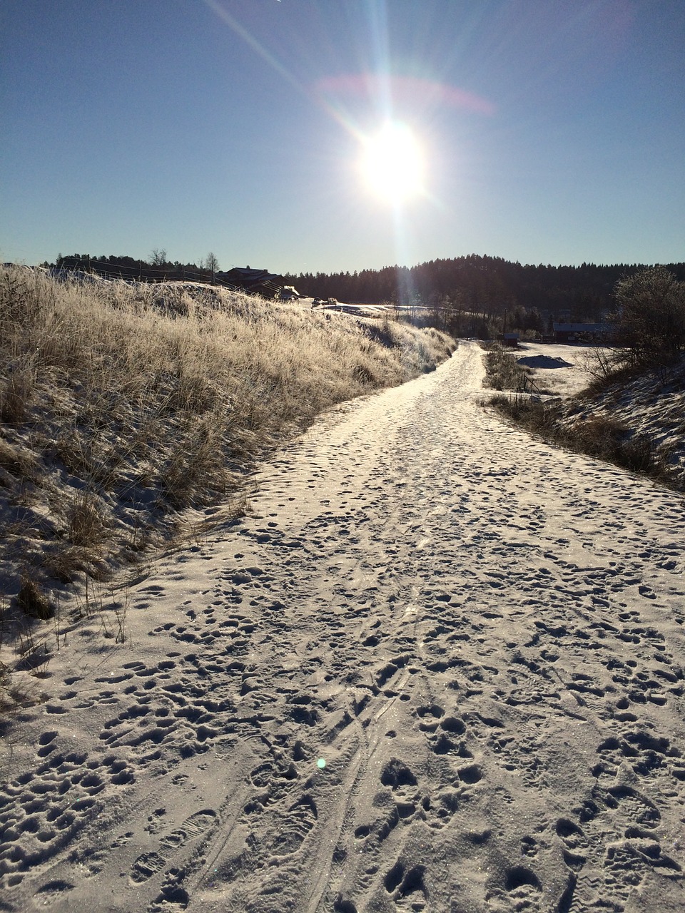 winter road snow free photo