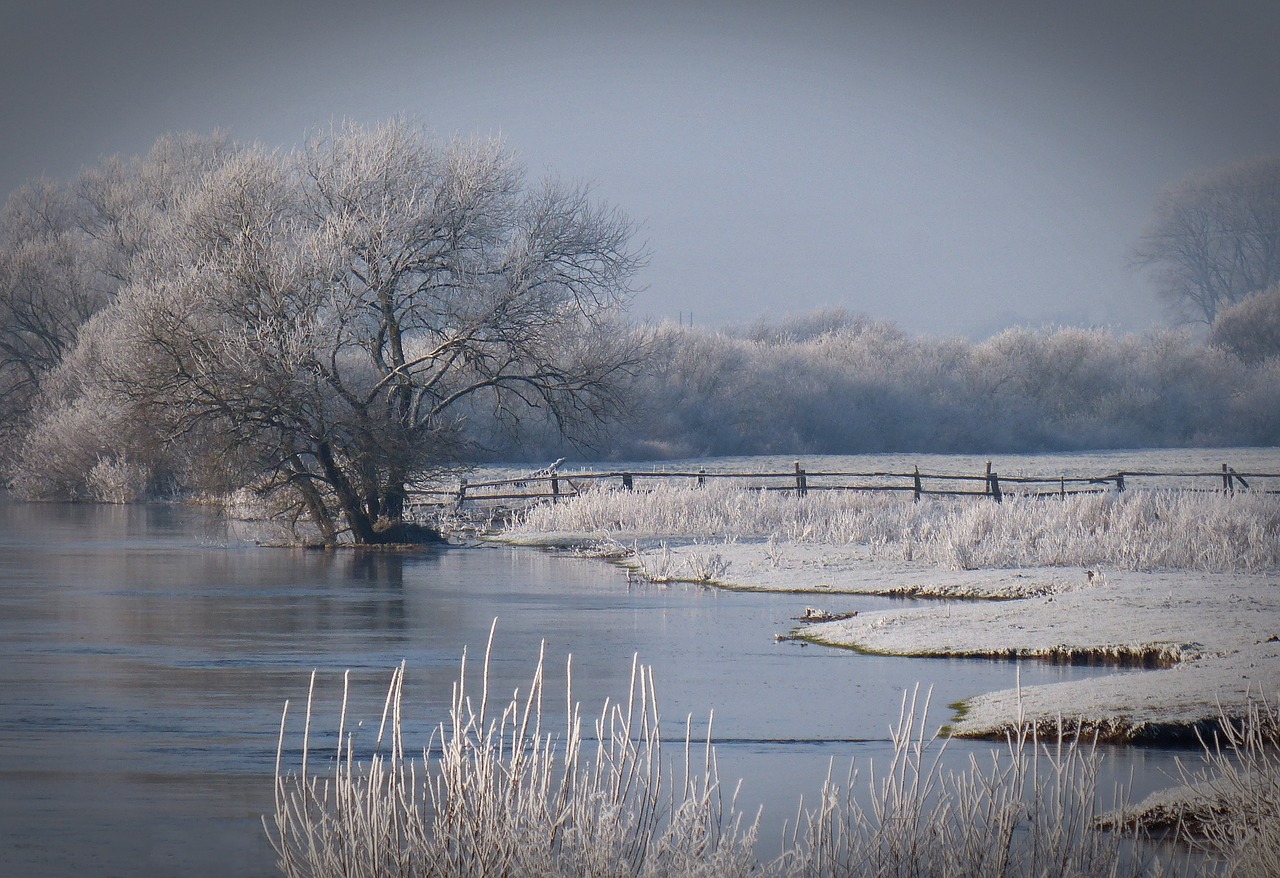 winter bank river free photo