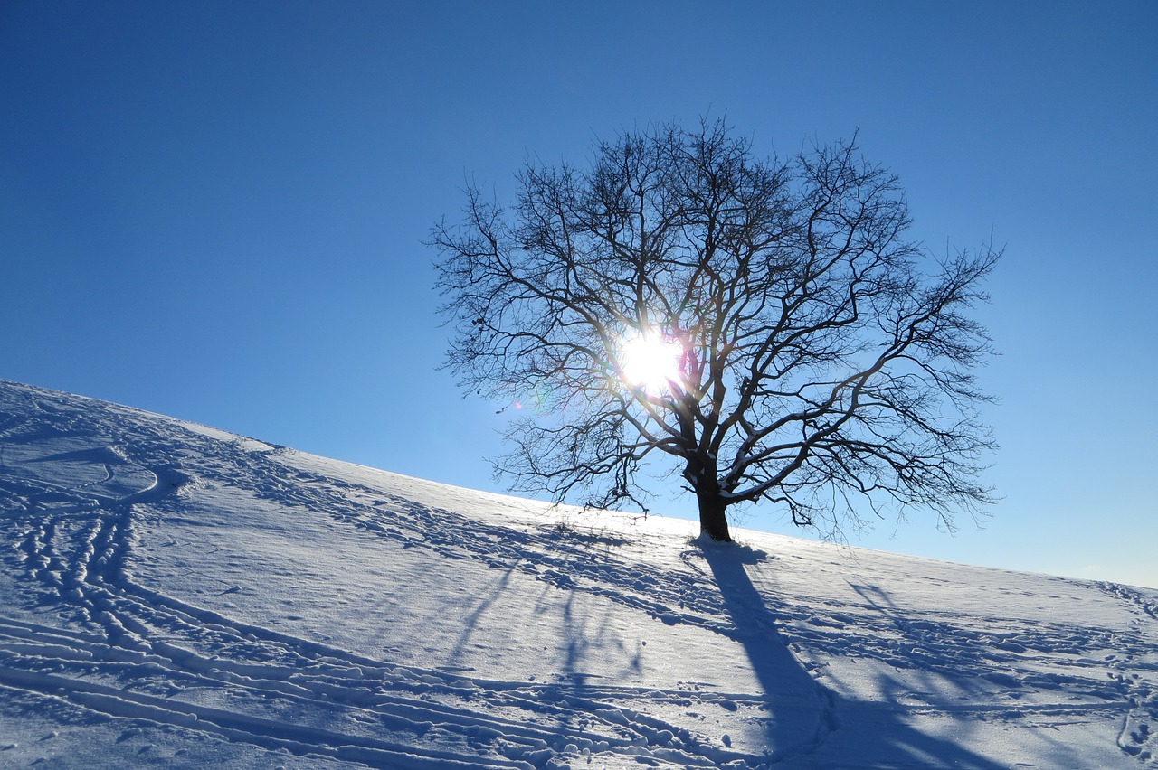 winter munich olympic park free photo