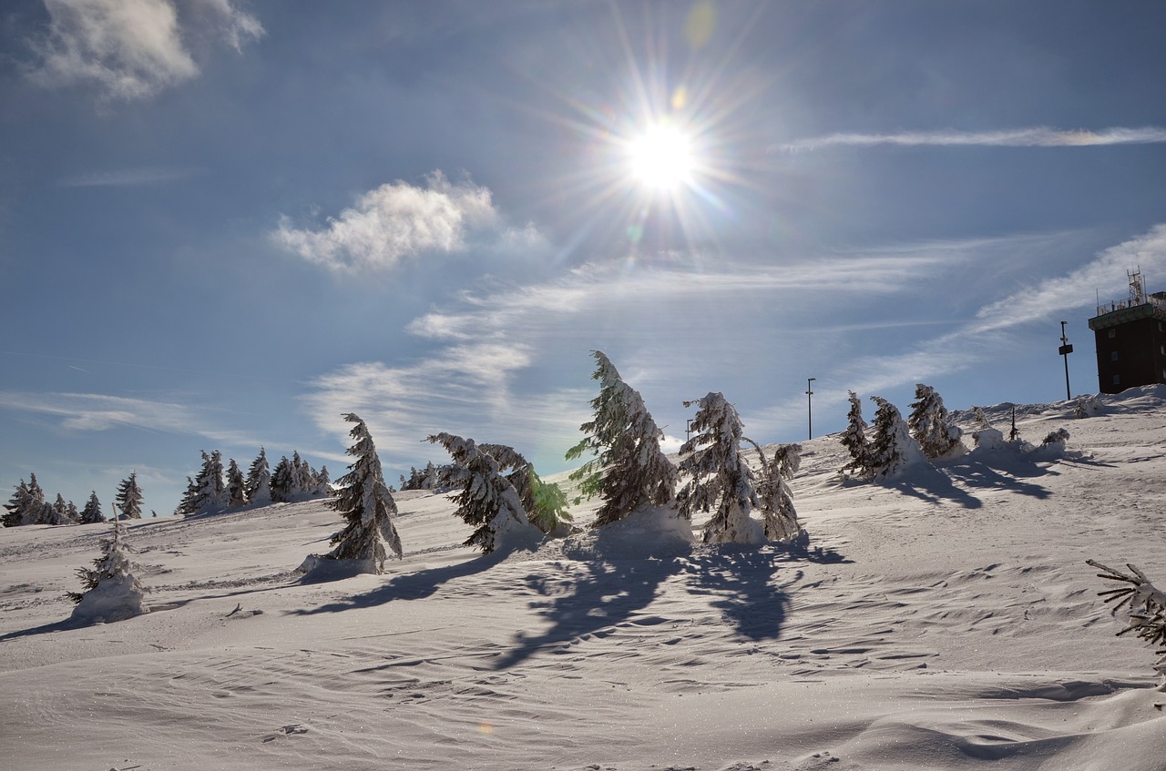 winter sun snow free photo