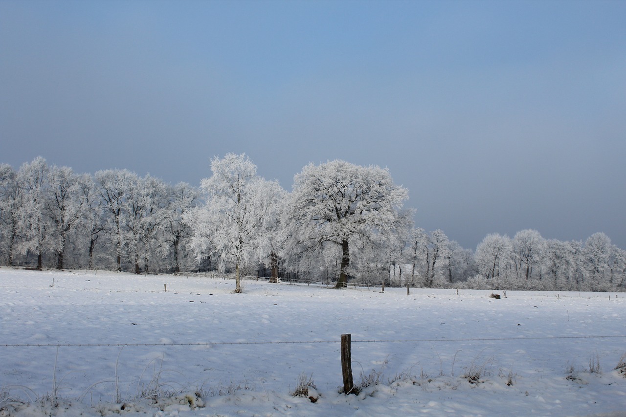 winter landscape snow free photo